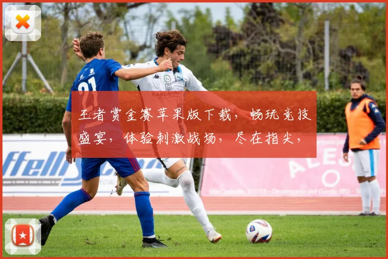 王者赏金赛苹果版下载，畅玩竞技盛宴，体验刺激战场，尽在指尖，不容错过