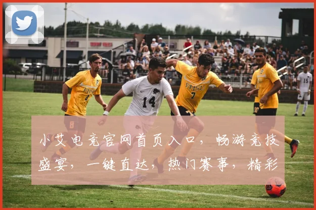 小艾电竞官网首页入口，畅游竞技盛宴，一键直达，热门赛事，精彩不容错过，三重福利，等你来战