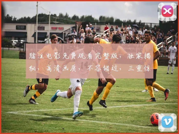 赌注电影免费观看完整版，独家揭秘，高清画质，不容错过，三重惊喜等你来