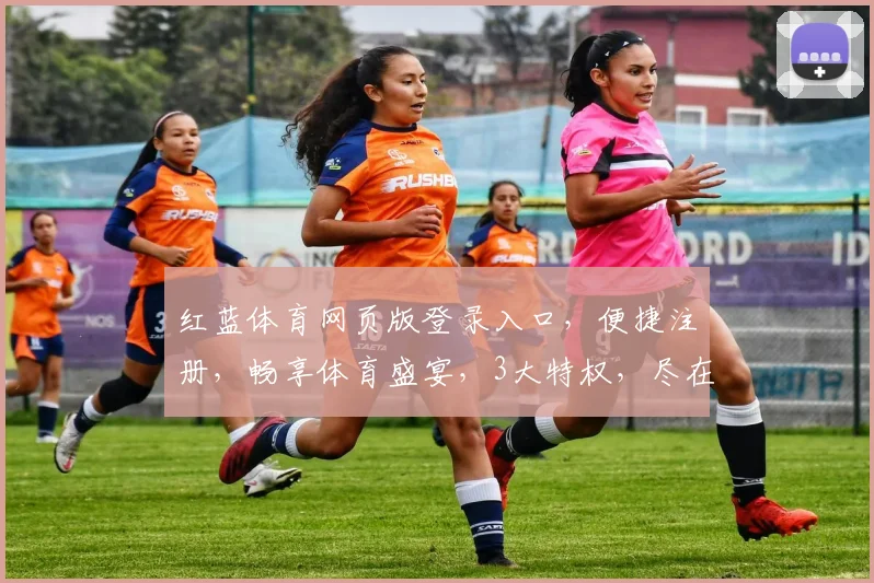 红蓝体育网页版登录入口，便捷注册，畅享体育盛宴，3大特权，尽在掌握，体验非凡