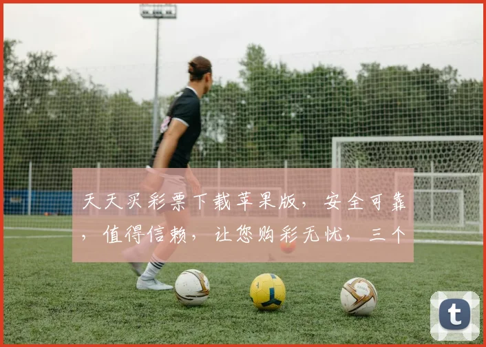 天天买彩票下载苹果版，安全可靠，值得信赖，让您购彩无忧，三个关键点保障。